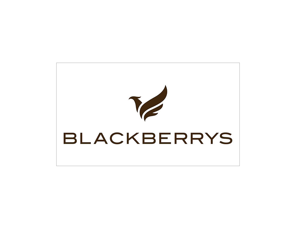 Blackberrys-New-Logo_6